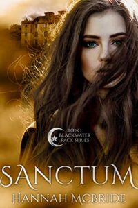 Book cover of Sanctum by Hannah McBride