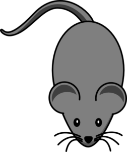 An illustration of a gray laboratory mouse