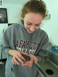 Olivia Sterantino holds a small turtle.