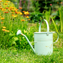 Watering can by some flowers in a garden