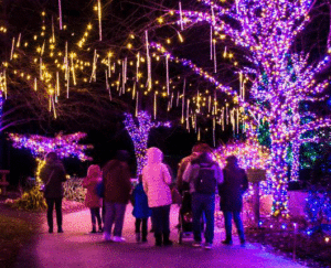 Visitors look at the Christmas lights at Lehigh Valley Zoo's Winter Light Spectacular.