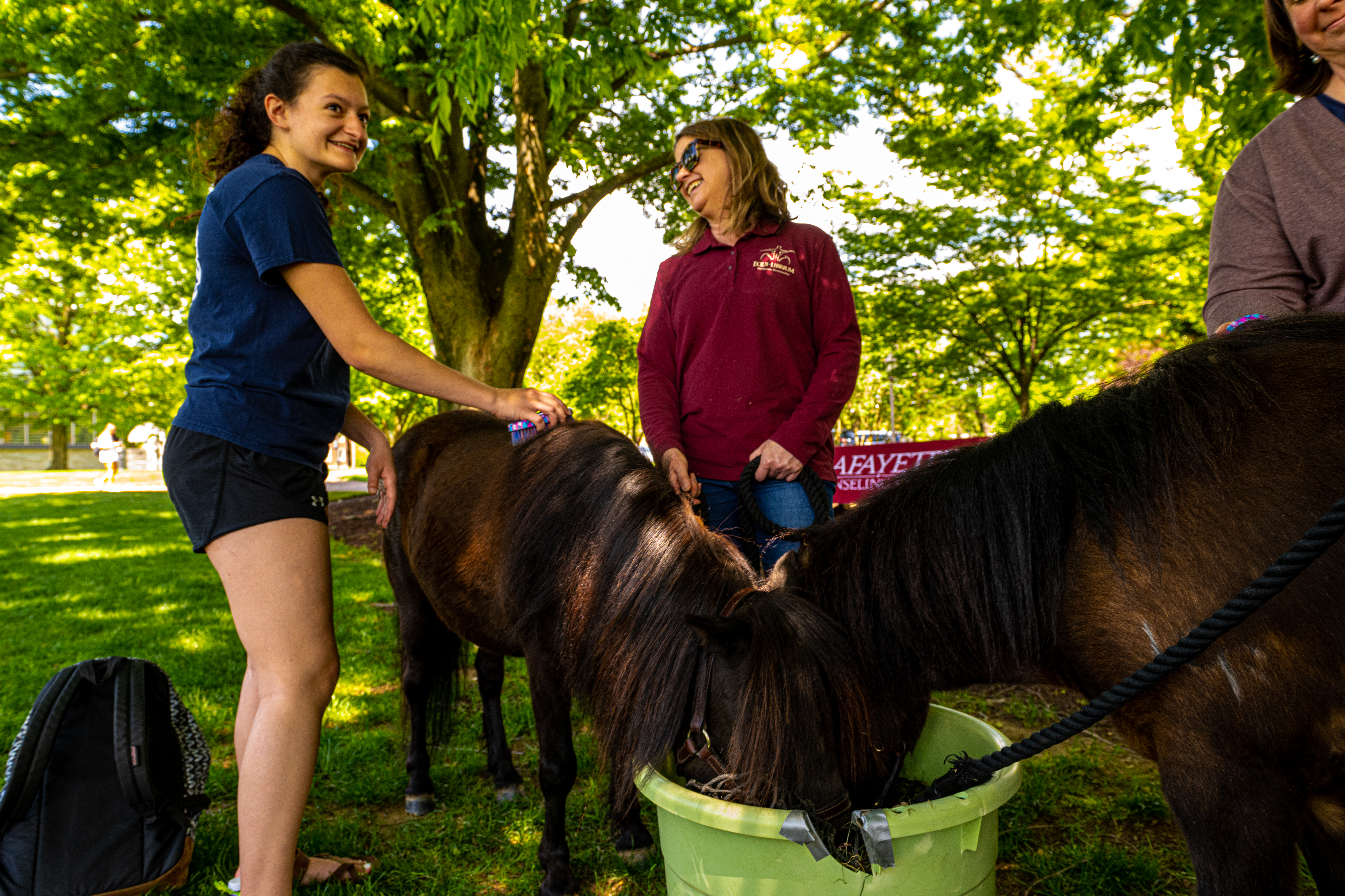 A student brushes a mini horse as an Equi-librium employee looks on
