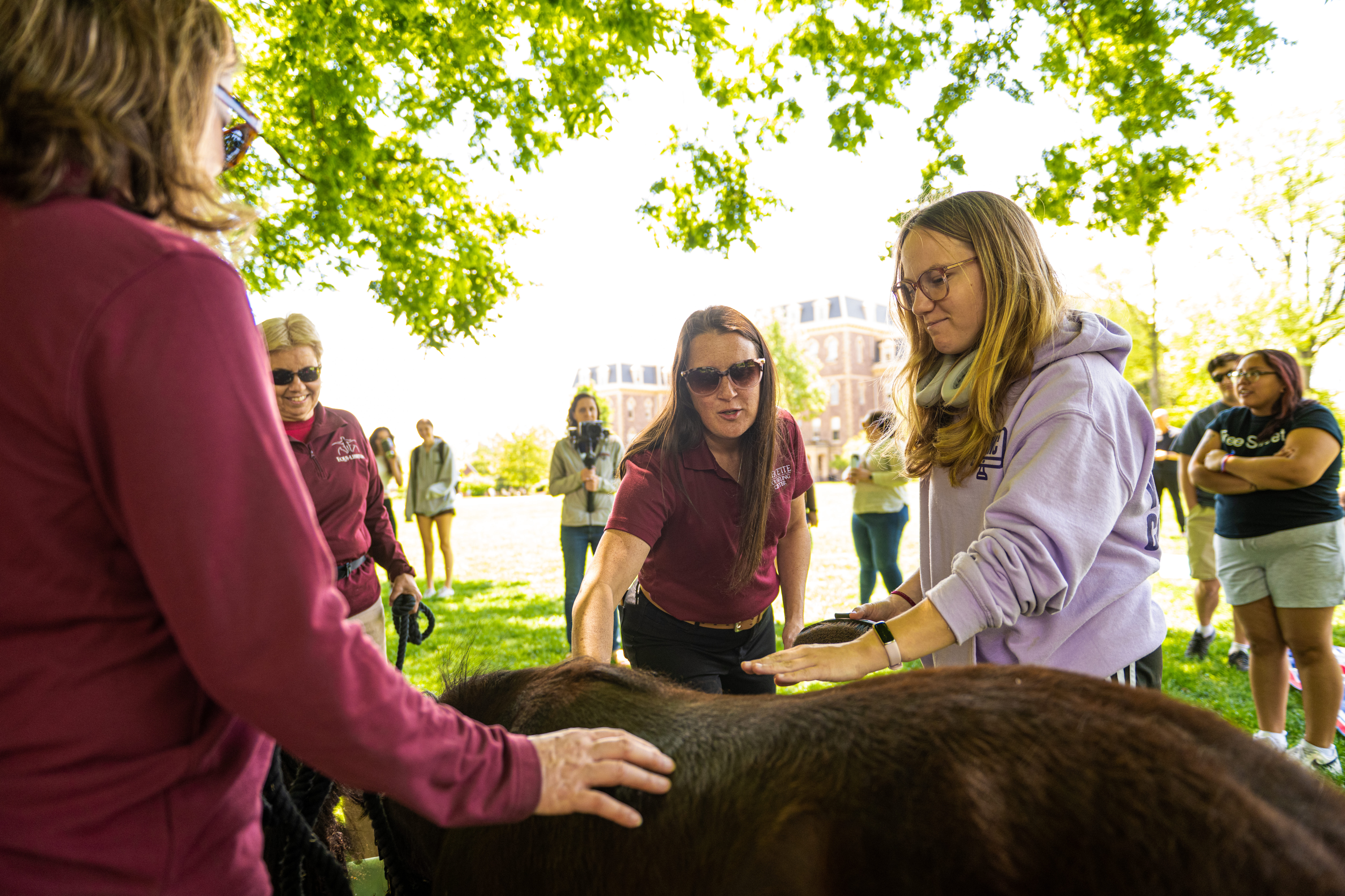Students pet a mini horse on campus