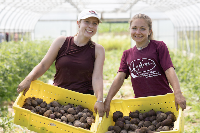 Two students hold yellow tubs filled with potatoes harvested from LaFarm.