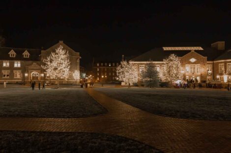 Trees around the Quad are strung with twinkle lights.