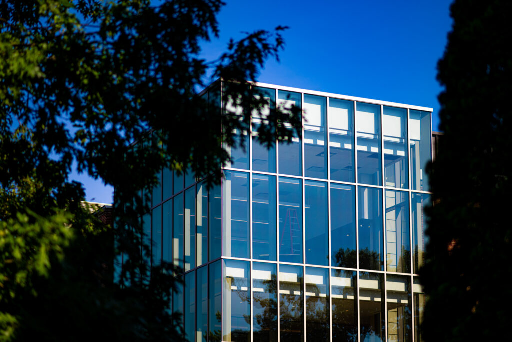 The all-glass facade of a building is seen through sihlouetted leaves.