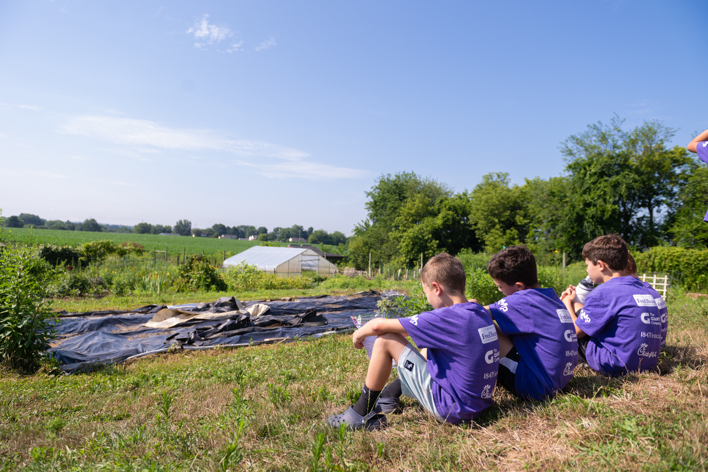 Three young males are seated on top of a small hill, looking out at a greenhouse in the distance. 