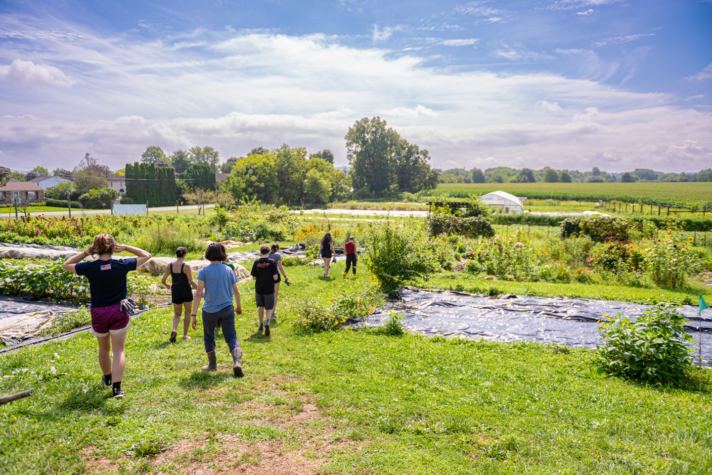 student can be seen walking through a wide landscape of a lush green farm.