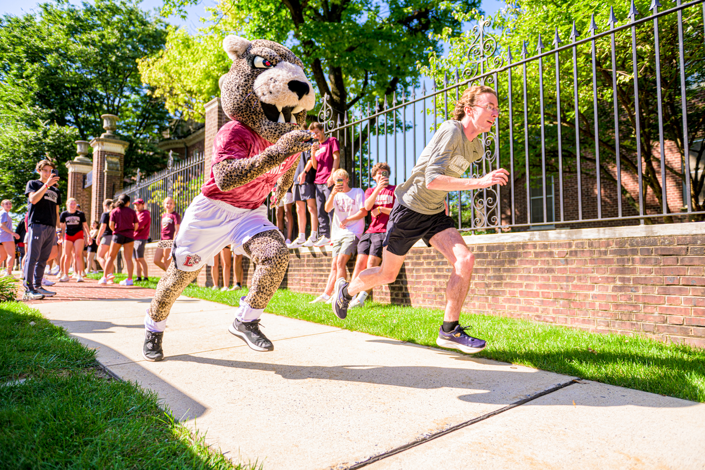 A leopard mascot races a young man from left to right down a sidewalk. A brick wall with wrought iron posts is behind them. 