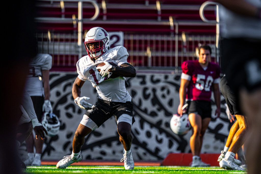 A football player running with a football on a sunny day.