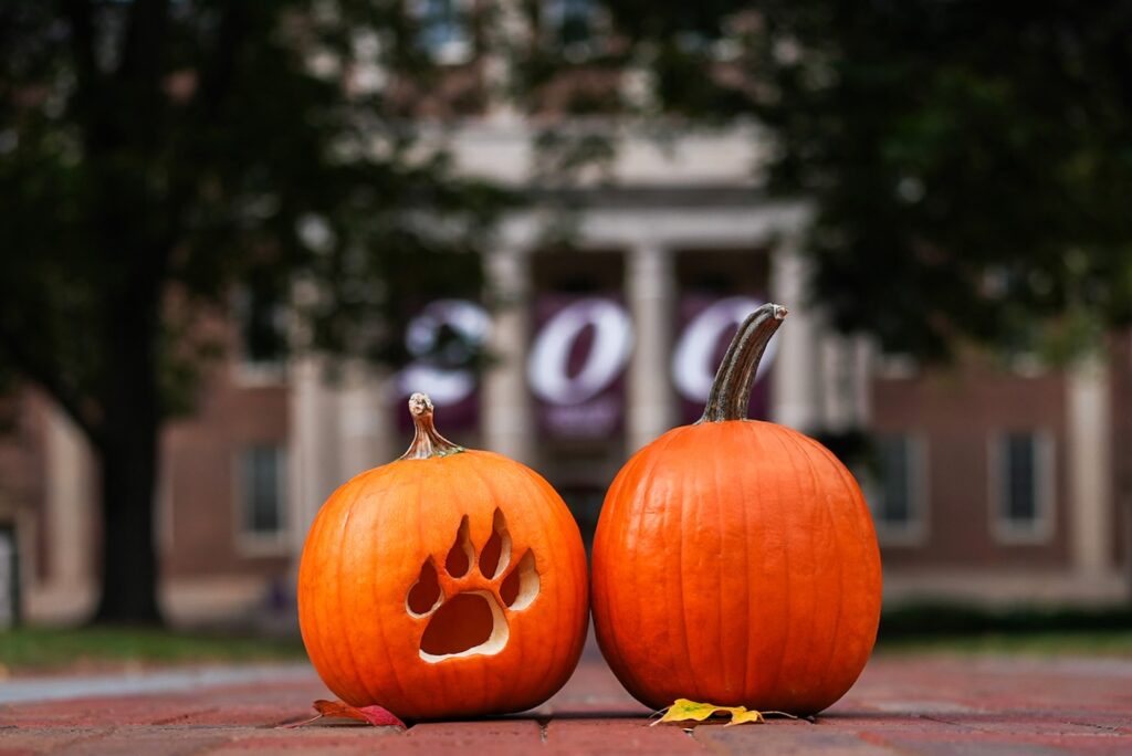 Two pumpkins sit on a path in front of Watson Hall. One pumpkin has been carved with a Leopard pawprint. The 200 banners show in the background of Watson Hall.
